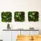 20" Corfu Island Artificial Living Wall Panels, 3ct.